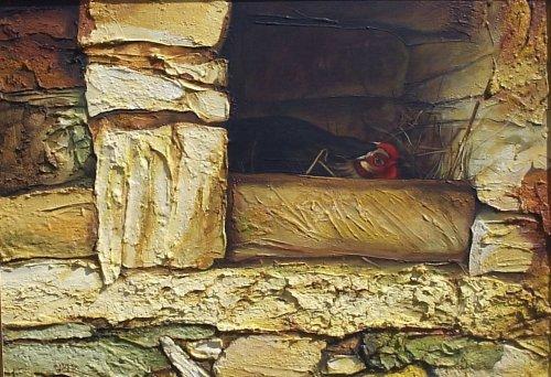 ,,Mandrica,,30x40 sm mix